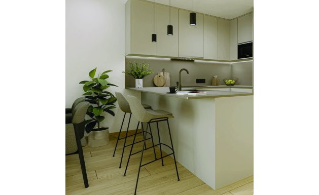 Nieuwbouw - Penthouse  - Torrevieja