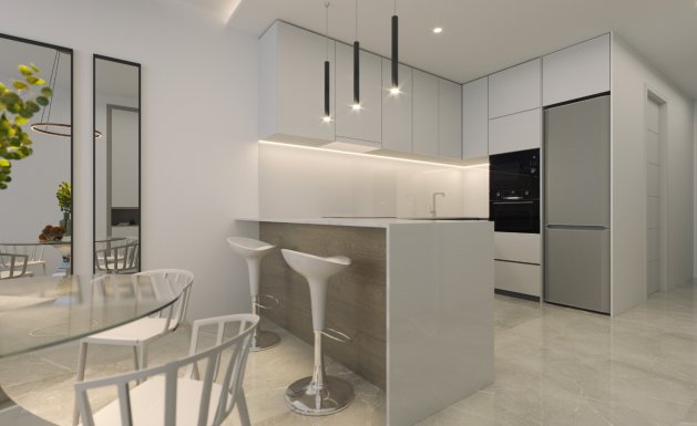 Obra nueva - Penthouse  - Torrevieja