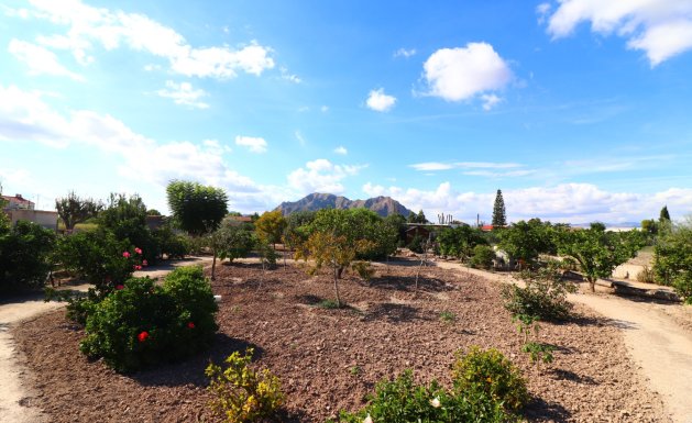 Resale - Country property  - Rafal - El Mudamiento