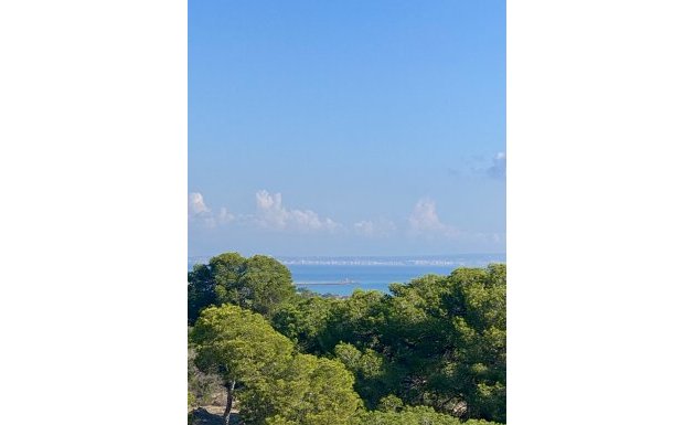 New Build - Apartment - Guardamar del Segura