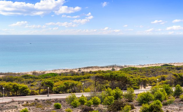 Resale - Apartment - Guardamar del Segura