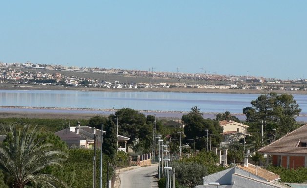 Obra nueva - Villa - Los Montesinos - La herrada