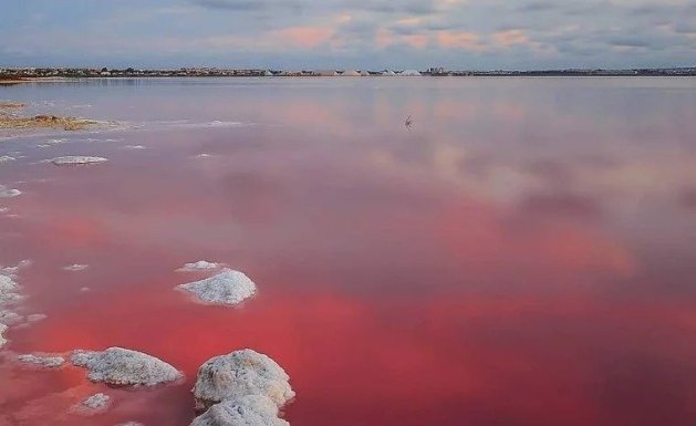 Obra nueva - Villa - Torrevieja - Lago Jardín II