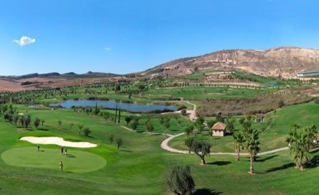 Obra nueva - Villa - Algorfa - La finca golf