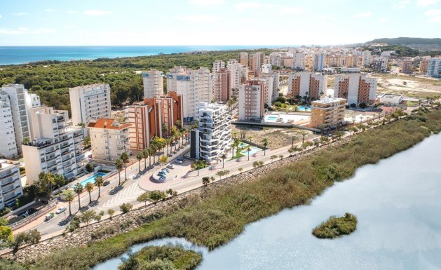 Obra nueva - Apartment - Guardamar del Segura - PUERTO