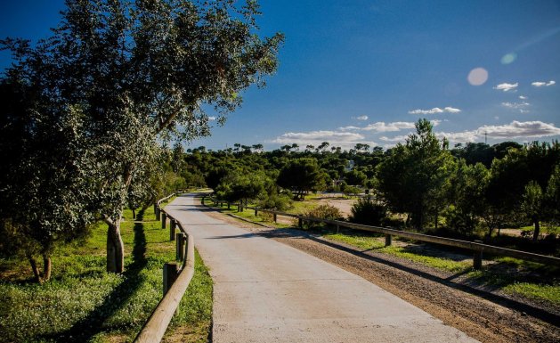 Obra nueva - Villa - Ciudad Quesada - Rojales - DOÑA PEPA