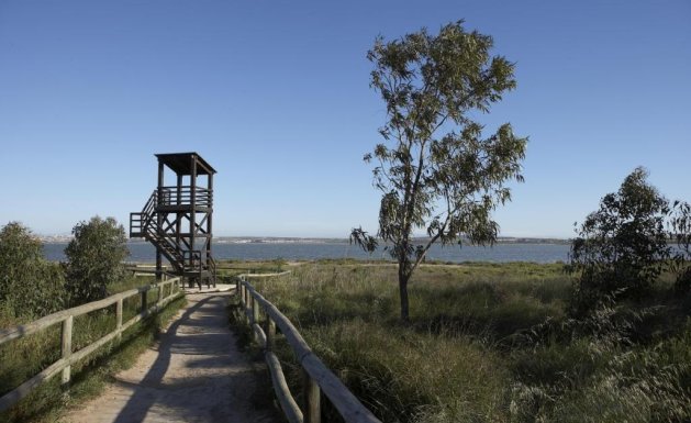 Obra nueva - Chalet - Torrevieja - Altos del Sol