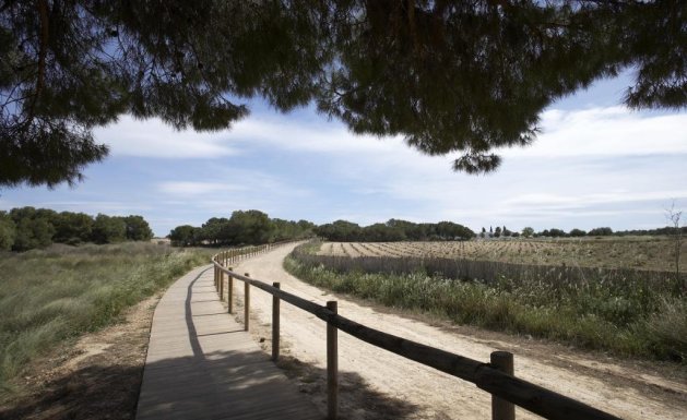 Obra nueva - Chalet - Torrevieja - Altos del Sol