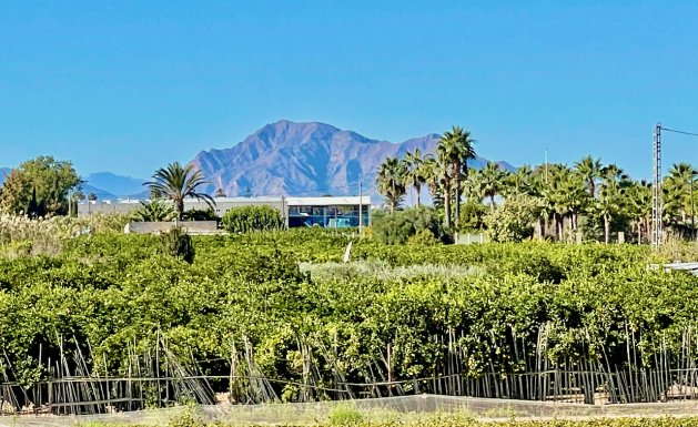 Reventa - Villa - Guardamar del Segura