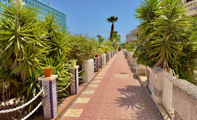 Reventa - Villa - Guardamar del Segura