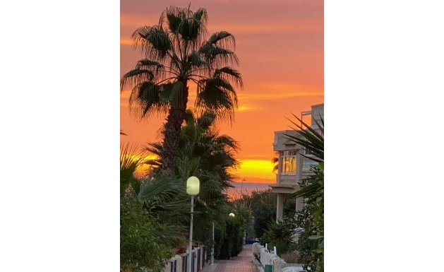 Reventa - Villa - Guardamar del Segura