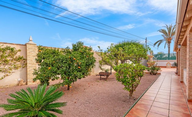 Reventa - Chalet - Torrevieja