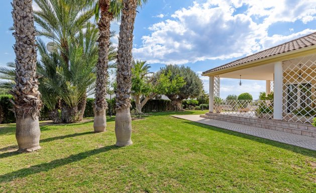 Herverkoop - Villa - Elche/Elx