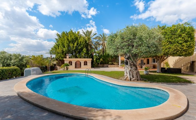 Herverkoop - Villa - Elche/Elx
