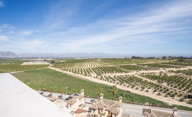 Obra nueva - Villa - Algorfa - La finca golf
