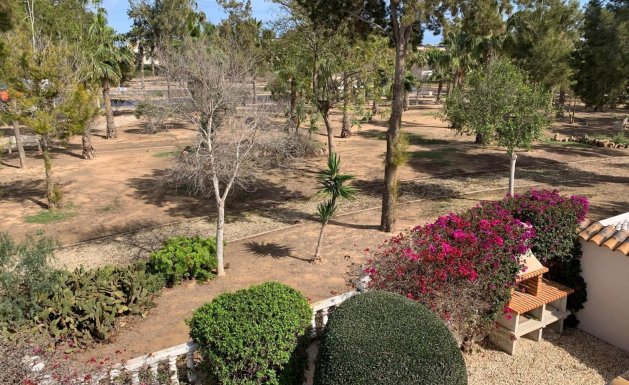 Resale - Detached House / Villa - Guardamar del Segura - Guardamar - El Raso