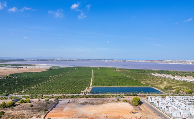 New Build - Apartment - Torrevieja