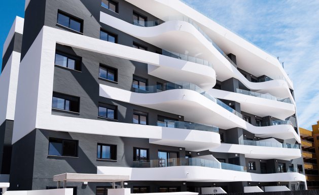 Obra nueva - Apartment - ﻿Torrevieja (Alicante) - Spain