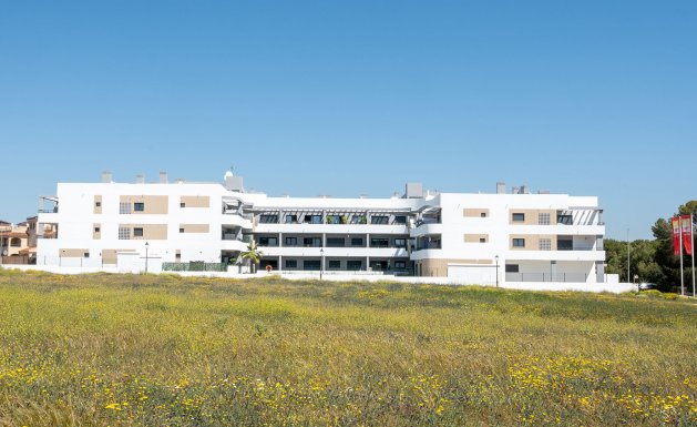 Obra nueva - Apartment - Torre de la Horadada (Alicante) - Spain