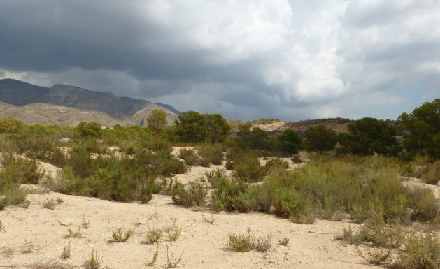 Reventa - Plot of Land - Crevillente - Crevillente - Country