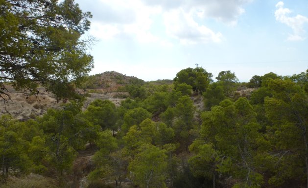 Reventa - Plot of Land - Crevillente - Crevillente - Country