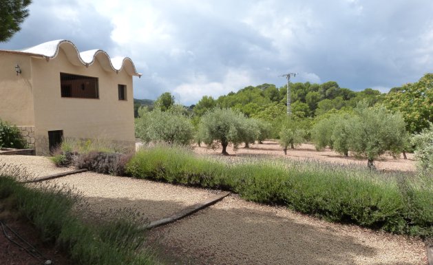 Reventa - Country Property - Ibi - Ibi - Country