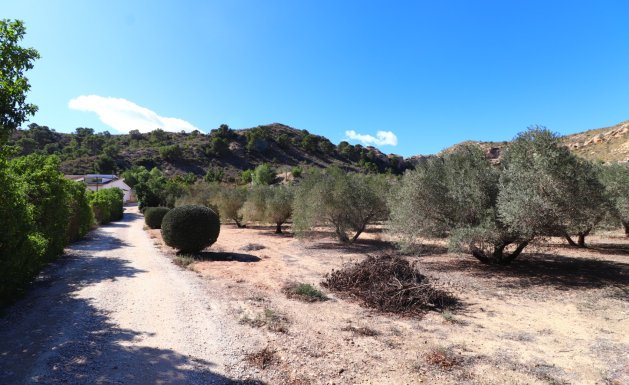 Reventa - Country Property - Aspe - Aspe - Country