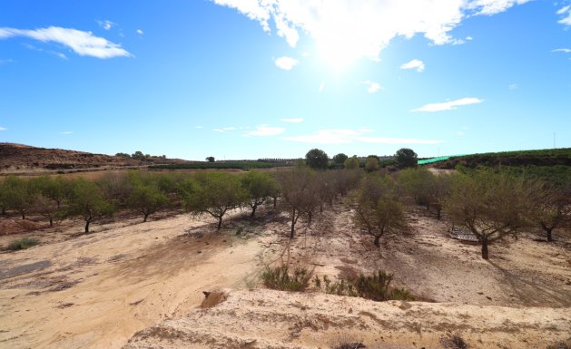 Reventa - Plot of Land - Torremendo - Torremendo - Country