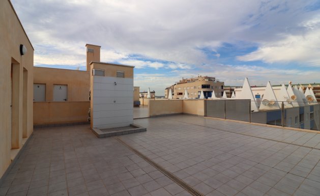 Reventa - Apartment - La Mata - La Mata - Town