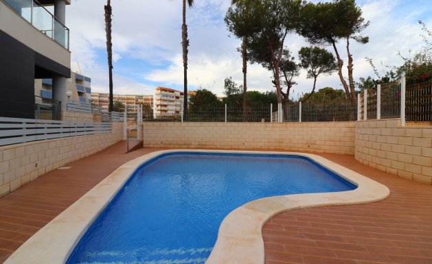 Reventa - Apartment - La Mata - La Mata - Town