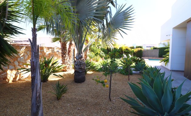 Reventa - Detached House / Villa - Ciudad Quesada - Ciudad Quesada - Town