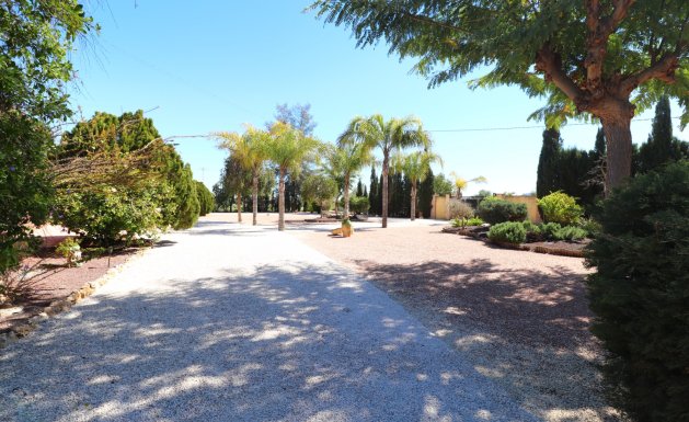 Resale - Country Property - Callosa de Segura - Callosa de Segura - Country